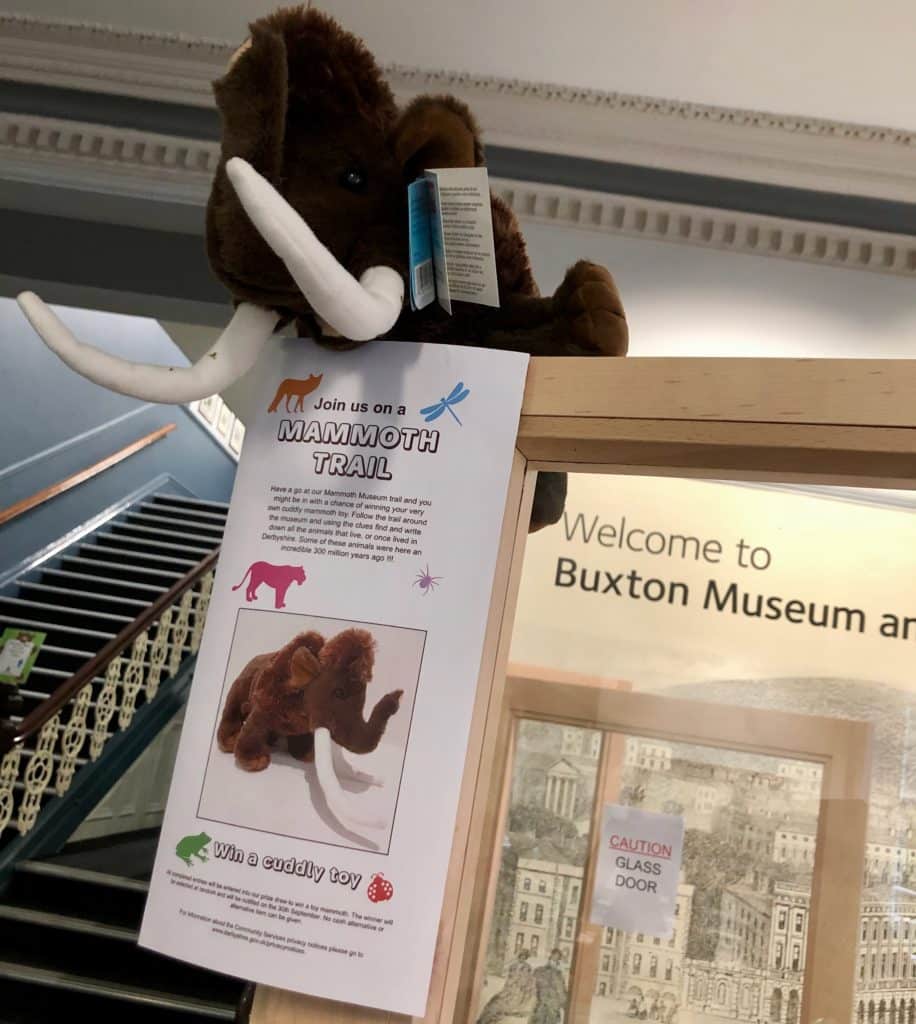 School holidays at Buxton Museum