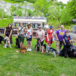 Barking Mad – A Day Out With Your Dog