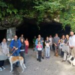 Dog friendly tours at Poole's Cavern