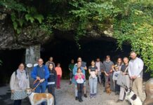 Dog friendly tours at Poole's Cavern