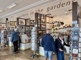 Creativity Blooms at Pavilion Gardens: High Peak Artists Launch Workshop Series this October